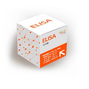 小鼠趋化因子(fractalkine/CX3CL1) elisa 试剂盒